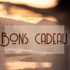 Bons Cadeau