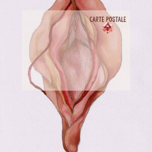 CARTE Pistil 7